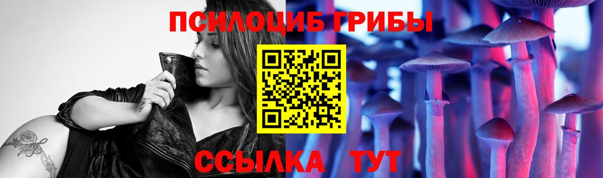 Тимашёвск  Галлюциногенные грибы ЛСД  Псилоцибиновые грибы Psilocybe  Вход с VPN 